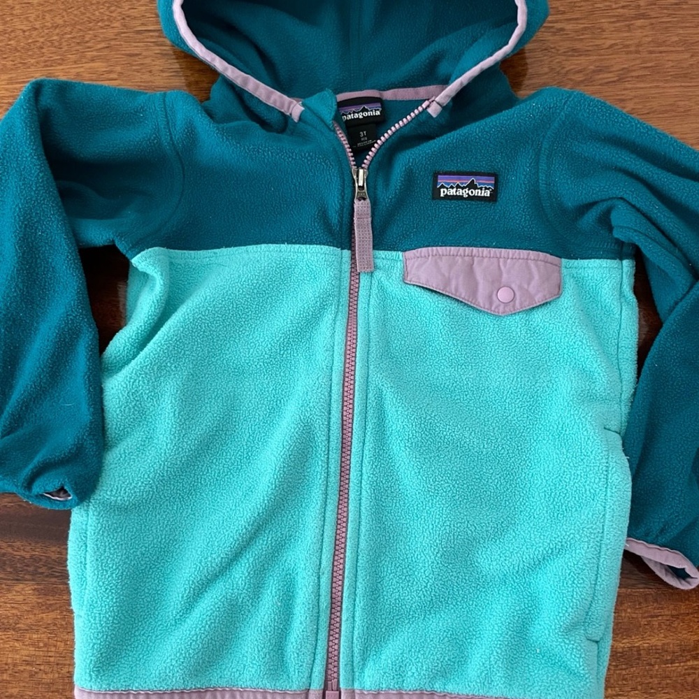 Patagonia Toddler Fleece